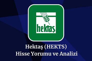 hekts-hisse-hedef-fiyat-2024-2025-2030.jpg