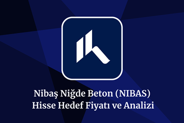 nibas-hisse-hedef-fiyat-2024-2025-2026-ve-2030.png