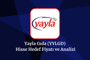 yylgd-hisse-hedef-fiyat-2024-2025-2026-ve-2030-yylgd-hisse-yorumu.png