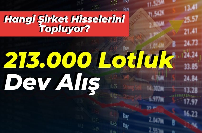 213.000 Lotluk Dev Alış: Hangi Şirket Hisselerini Topluyor?