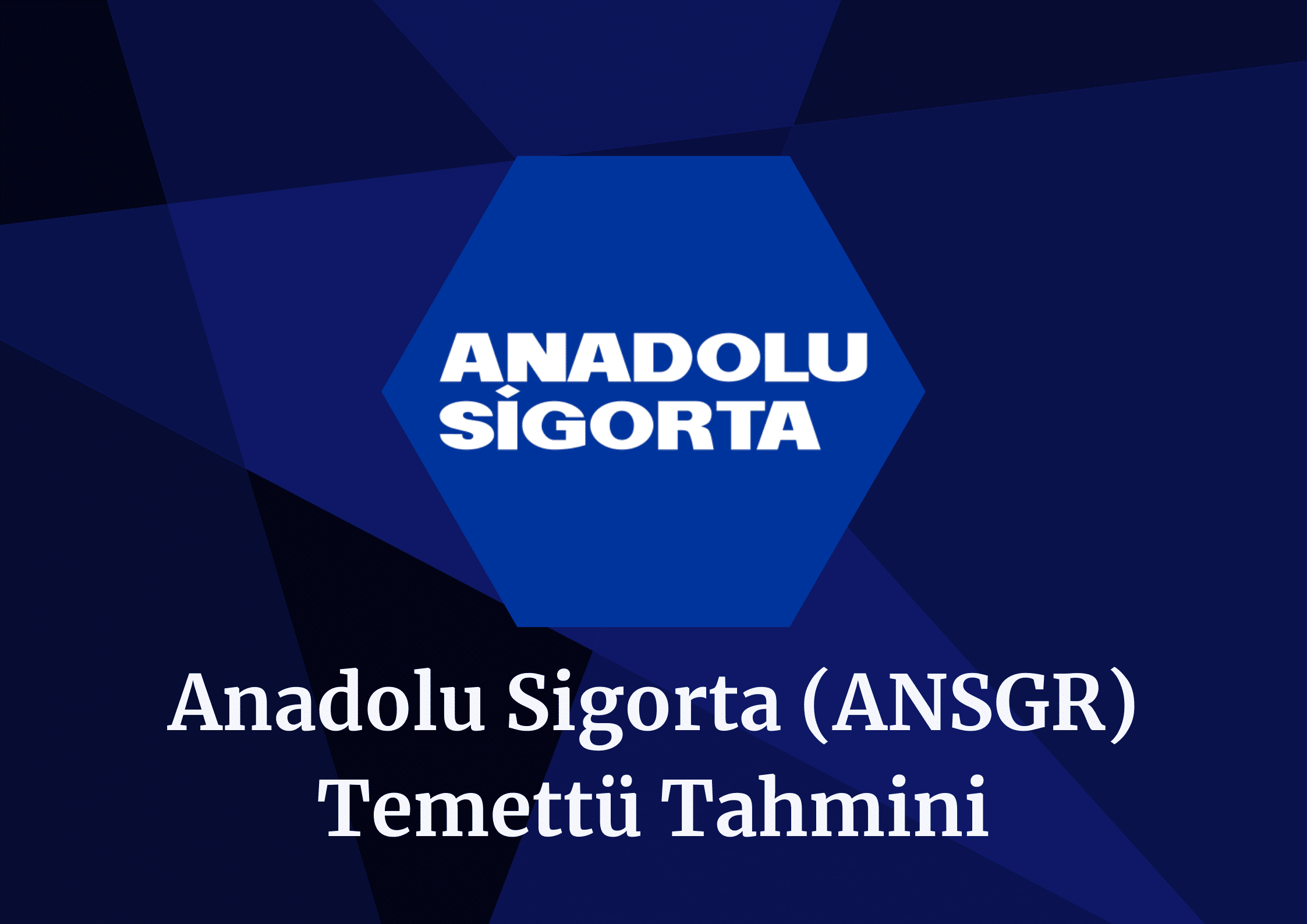 2024 ANSGR Temettü Tahmini!