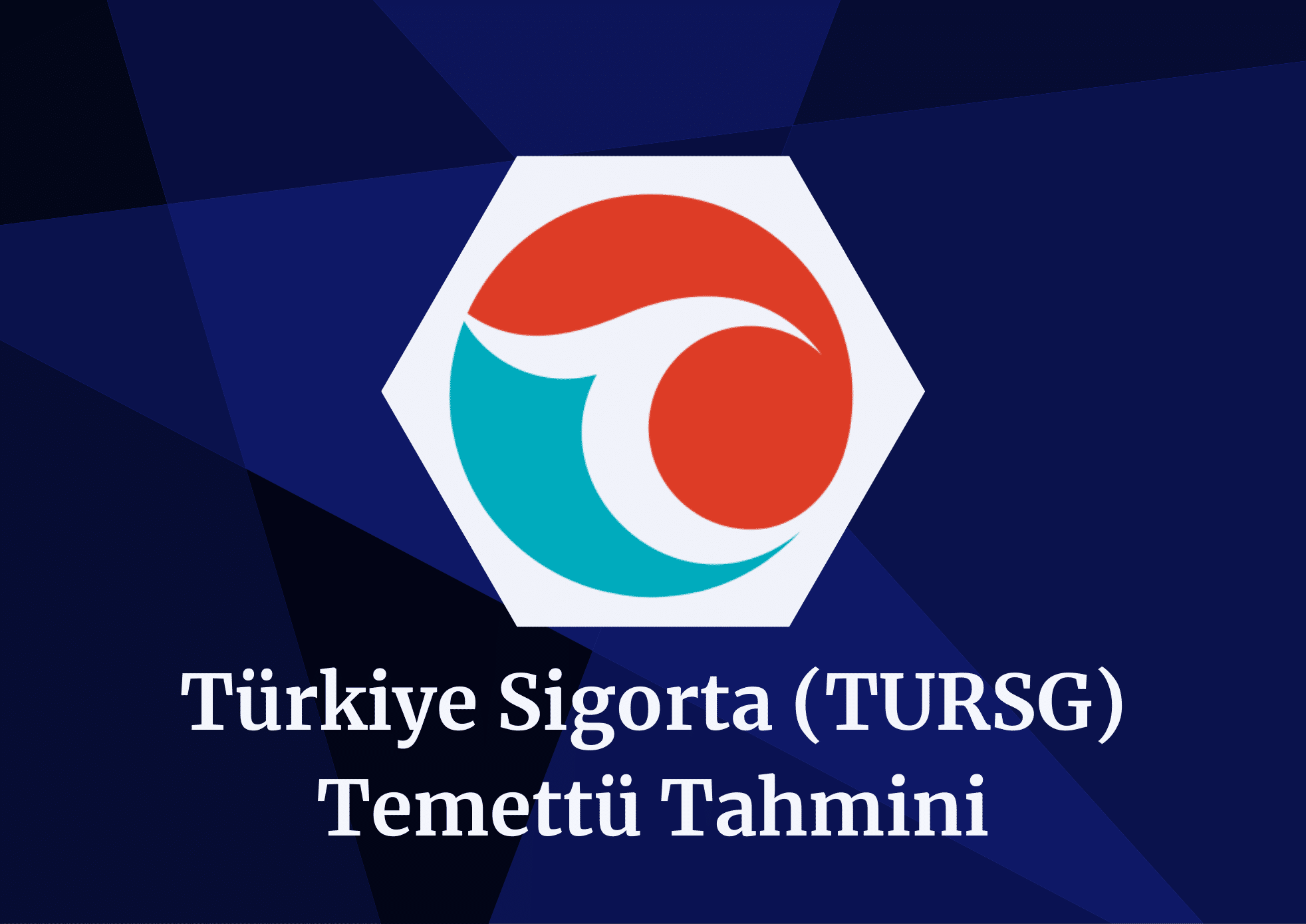 2024 TURSG Temettü Tahmini!