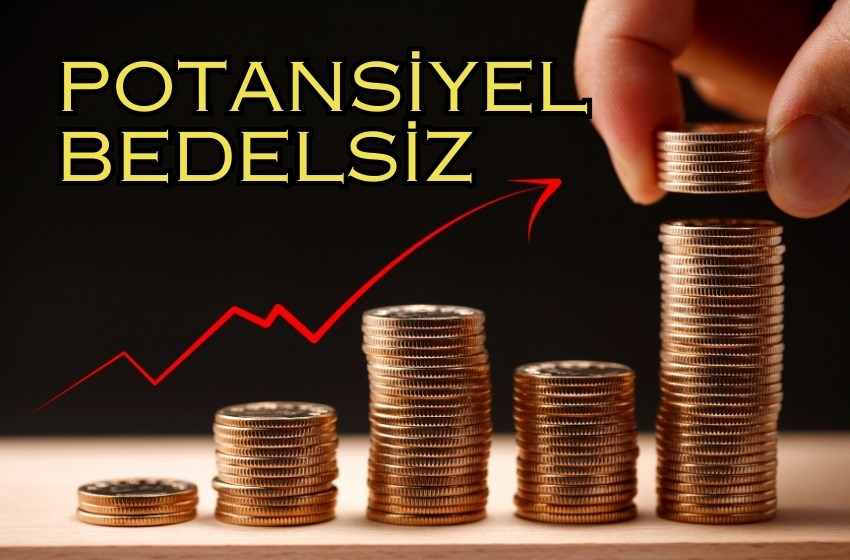 Bedelsiz Sermaye Potansiyeli: Biri Yüzde 1780, Diğeri Yüzde 790…