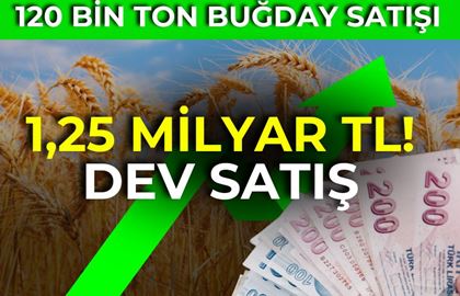 Bu Gıda Hissesi, 120 Bin Ton Buğday Satışıyla 1.25 Milyar TL...