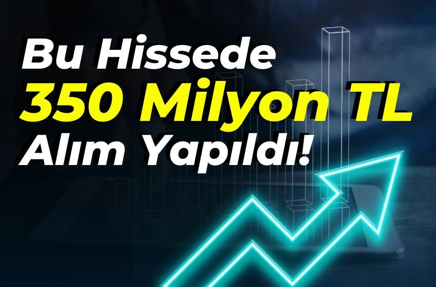 Bu Hissede 350 Milyon TL Alım Yapıldı!