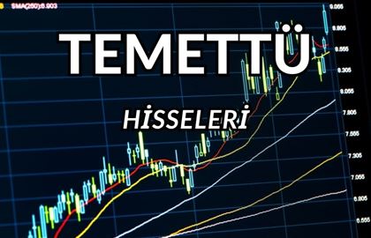 En Düşük F/K Oranlı Temettü Hisseleri: Detaylı İnceleme