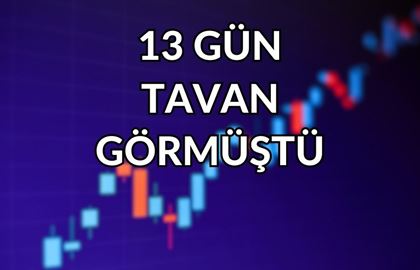 Halka Arz Geliri Nerelere Gitti? Yatırımcı Kazandı, Şirket Hedefine Ulaştı!