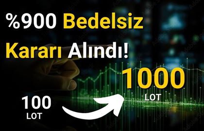 Holding %900 Bedelsiz Kararı Aldı! 100 Lot 1000 Lot Olacak!