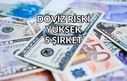 Yatırımcının Dikkat Etmesi Gereken Veri: Döviz Riski En Yüksek 5 Şirket!